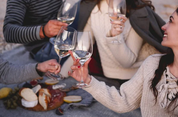陽気な大人の女性と男性の上からカジュアルな服で乾杯し ワイングラスが海岸で遊んだり 秋にピクニックをしたり — ストック写真