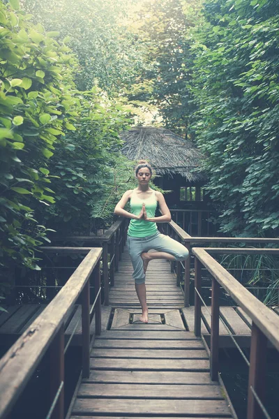 Spor Kıyafetlerinde Formda Genç Bir Kadın Yoga Yapıyor Meditasyon Yapıyor — Stok fotoğraf