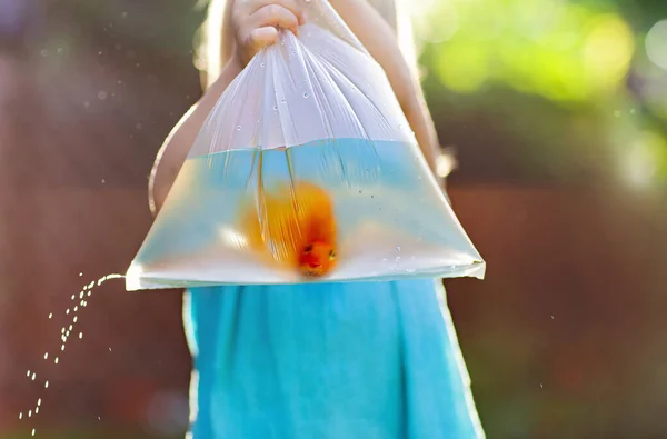 Crop little girl in blue dress standing on street and holding transparent plastic bag with water and golden fish and water dropping through small hole