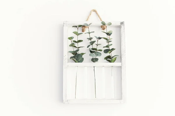 Kompozycja Dekoracyjna Zielonymi Roślinami Białej Drewnianej Ramie Wiszącej Białej Ścianie — Zdjęcie stockowe