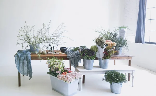 Diverse Kleurrijke Bloemen Groene Planten Emmers Geplaatst Houten Tafel Bank — Stockfoto