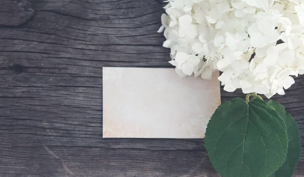 Yeşil Yapraklı Beyaz Hortensiya Çiçeğinin Üst Görüntüsü Ahşap Arka Planda — Stok fotoğraf