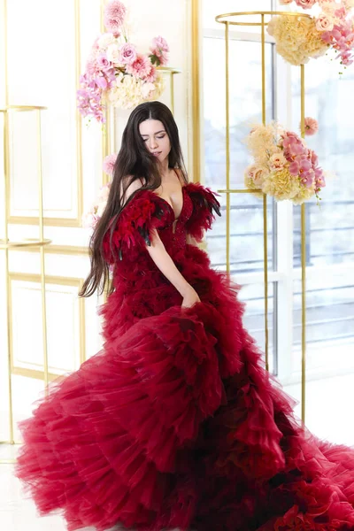 Beautiful Young Brunette Female Luxurious Red Evening Dress Looking Camera — 스톡 사진