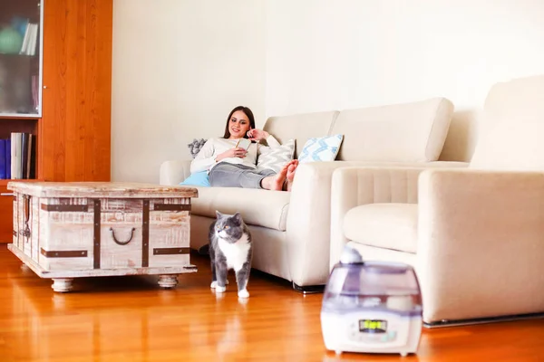 Gato Adorável Curioso Rastejando Atrás Umidificador Moderno Perto Sofá Poltrona — Fotografia de Stock