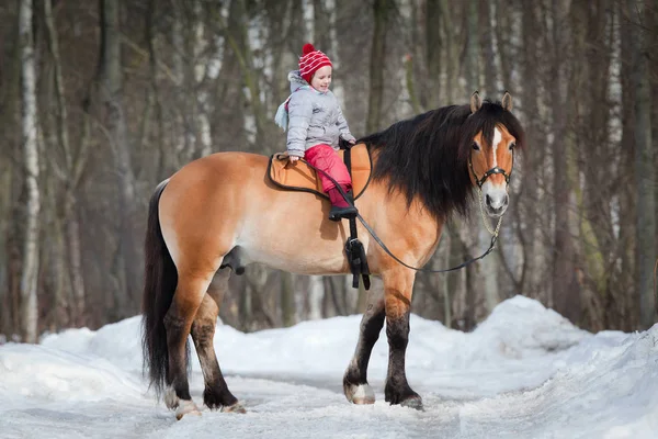 Paard - kind berijden van een paard in de winter. — Stockfoto