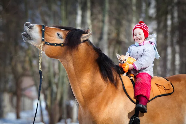 馬、犬および子供の笑顔。面白い馬、犬と子供. — ストック写真