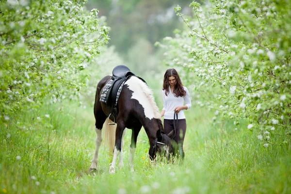 Young woman and pinto horse in apple garden. Horse and beautiful lady walking outdoor. — Stock Photo, Image