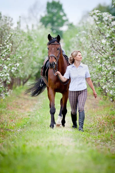 リンゴ園で女性と湾の馬。馬は、屋外を歩く美しい女性。馬のライダー. — ストック写真