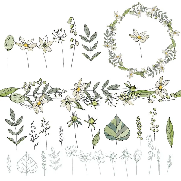 Flores selvagens isoladas em fundo branco. Elementos florais para o seu design —  Vetores de Stock