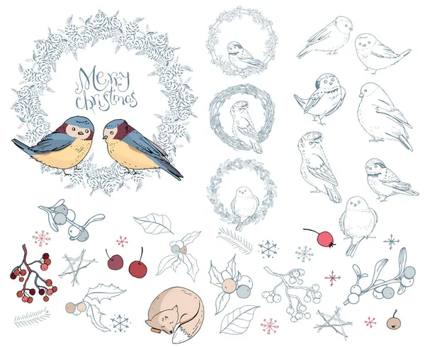 Collection Différents Oiseaux Hiver Symboles Forêt Noël Éléments Isolés Sur — Image vectorielle