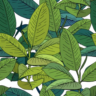 Geleneksel homeplant ficus ile Seamless modeli. Sonsuz doku çiçek ile kapalı kullanılan.