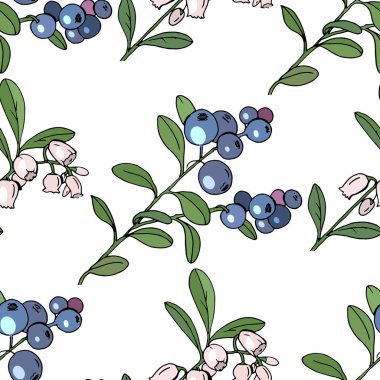 Beyaz çiçek elemanları ile Seamless modeli. Yaban mersini ile sonsuz doku