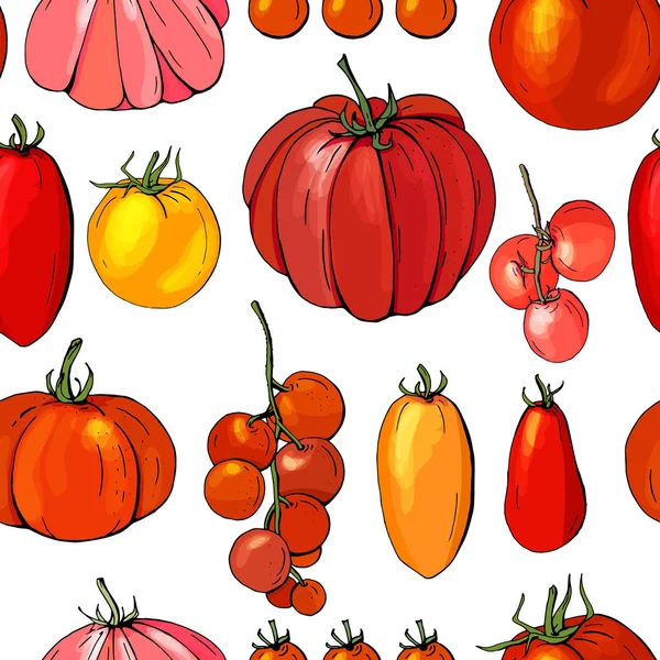 Seamless pattern with different vegetables on white. Various sorts of tomato — Stock Vector