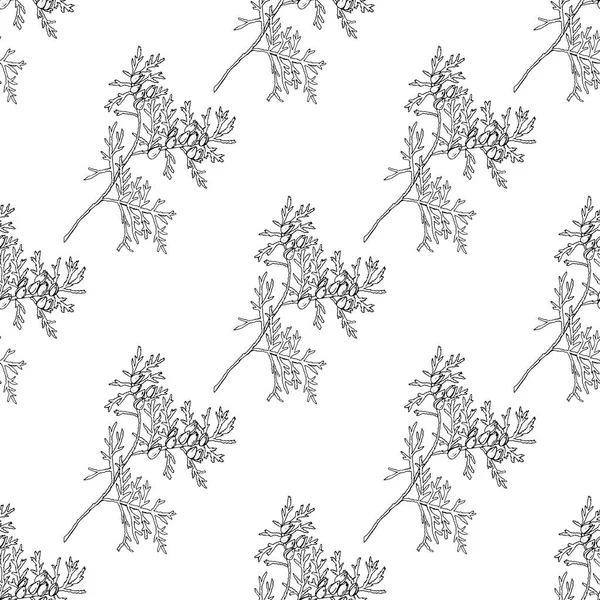 Nahtloses Muster mit Zweigen auf Thuja. schwarz und weiß endlose Textur — Stockvektor