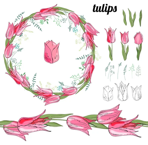 Комплект с различными тюльпанами на белом . — стоковый вектор