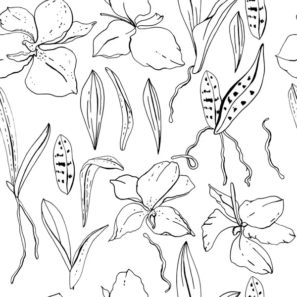 Patrón floral sin costuras con flores románticas de orquídea. Textura infinita para un elegante diseño floral y de temporada — Vector de stock