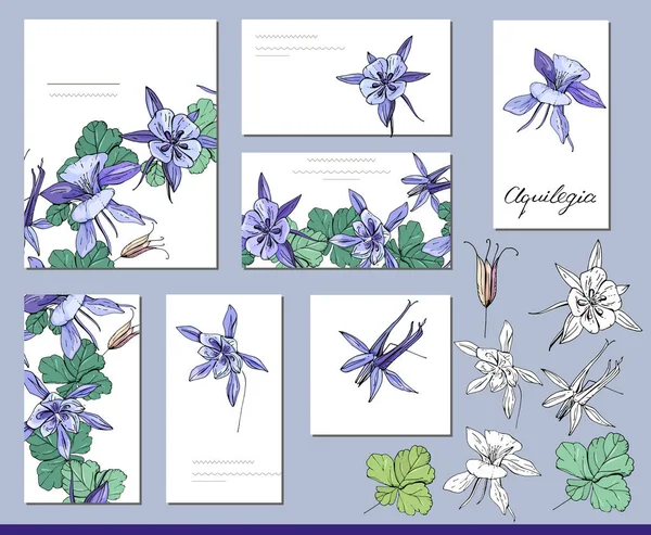 Set Aquilegia Con Tarjetas Visita Plantillas Saludo — Vector de stock