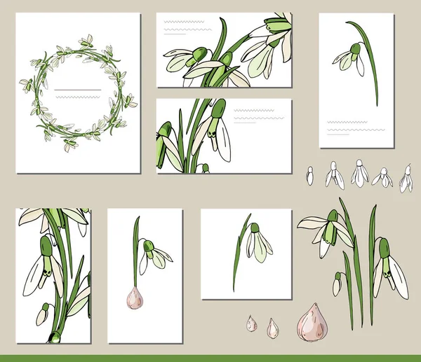 Set Snowdrop Con Tarjetas Visita Plantillas Saludo — Vector de stock