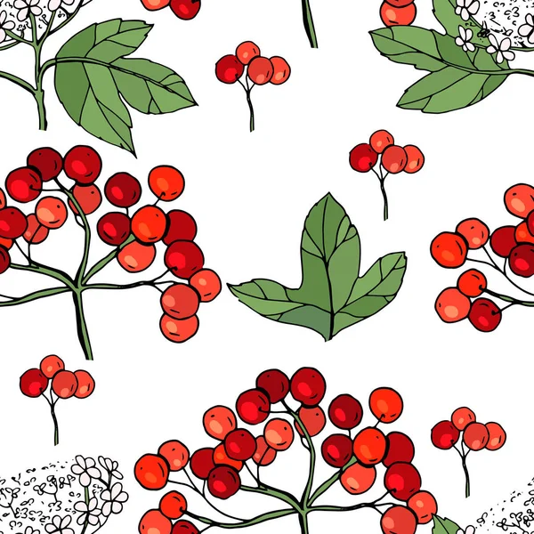 ガマズミ属の木とのシームレスなパターン 赤熟した果実と無限テクスチャ — ストックベクタ
