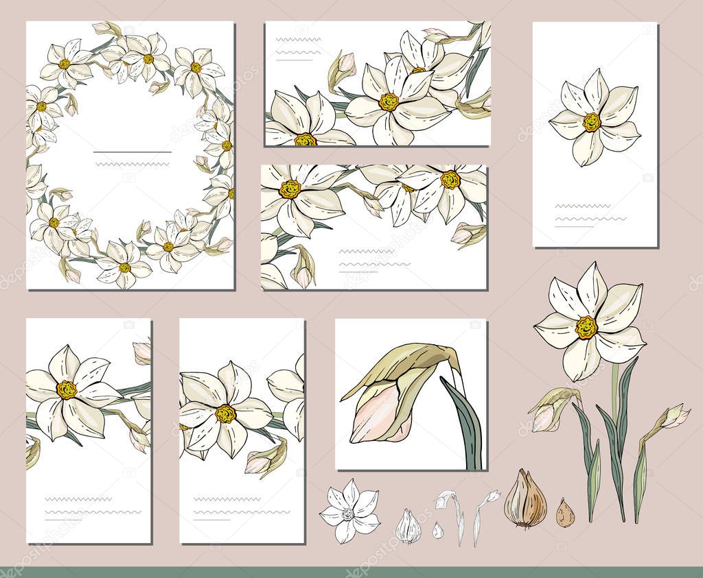Daffodil set with visitcards and greeting templates