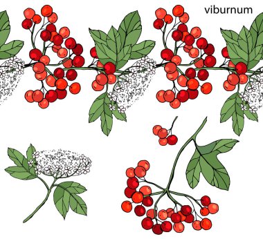 Olgun çilek ile sonsuz yatay kenarlık. Beyaz izole kartopu
