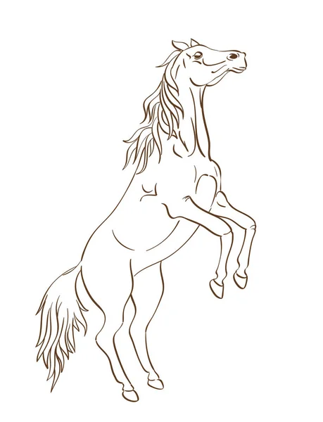 Rearing up horse vector in line art style — Stock Vector