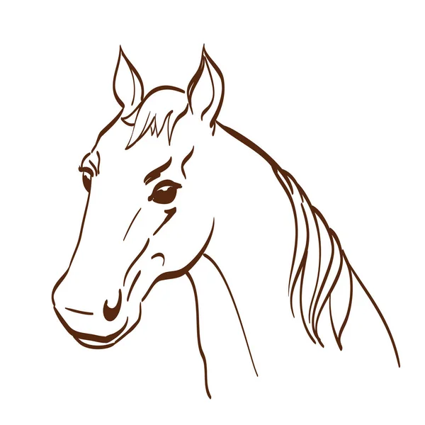 Cabeça de cavalo feita em estilo de arte linha no branco. Escola equestre ou — Vetor de Stock