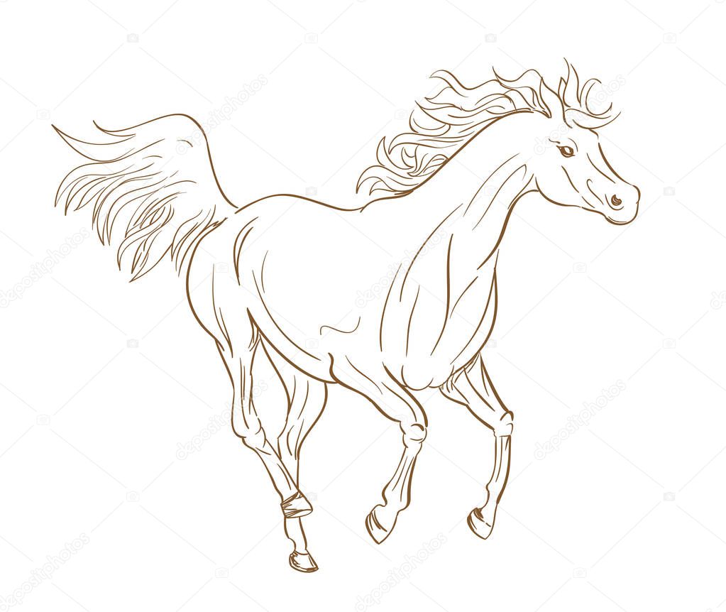 Running horse outline in line art style — Stock Vector © Ghenadie