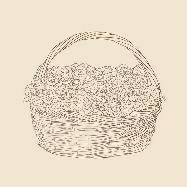 Wicker basket with flowers vector drawing on brown background — Stock Vector