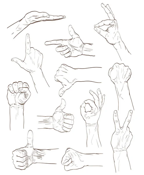 Conjunto de manos con diferentes gestos en blanco. boceto dibujado a mano — Vector de stock