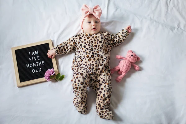 5 Bambina di cinque mesi sdraiata su sfondo bianco con cartolina e orsacchiotto. Composizione laica piatta . — Foto Stock