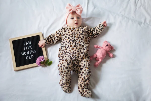 5 Cinco meses de idade menina deitado no fundo branco com placa de letra e ursinho de pelúcia. Composição plana . Imagem De Stock