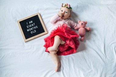 8 aylık bir bebek, beyaz arka planda, mektup tahtası ve oyuncak ayıyla yatıyor. Düz konum.
