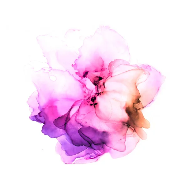 Delicada flor acuarela dibujada a mano en tonos rosa y violeta. Arte de tinta de alcohol. Ilustración de trama . Imagen De Stock