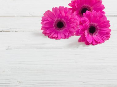 Beyaz ahşap zemin üzerinde pembe gerber