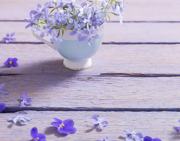 Spring flowers on wooden background — Stock Photo, Image