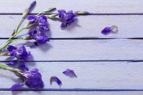 Spring flowers on wooden background — Stock Photo, Image