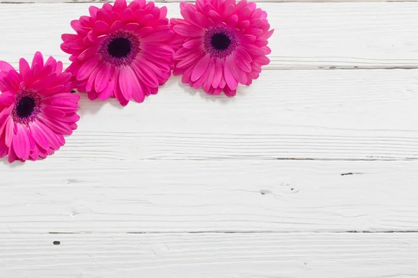 Růžová Gerbera na bílém pozadí dřevěná — Stock fotografie