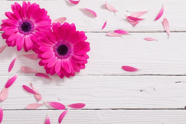 Růžová Gerbera na bílém pozadí dřevěná — Stock fotografie