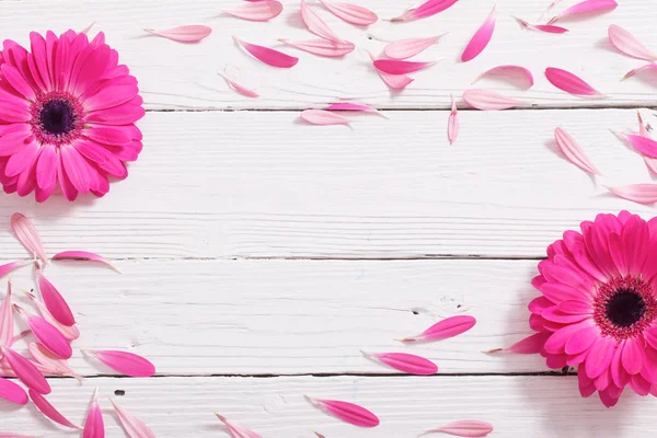 Roze gerber op witte houten achtergrond — Stockfoto