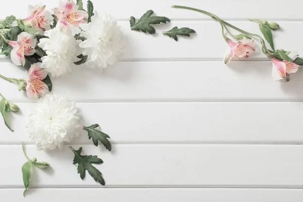 Chrysanthemen auf weißem Holzhintergrund — Stockfoto