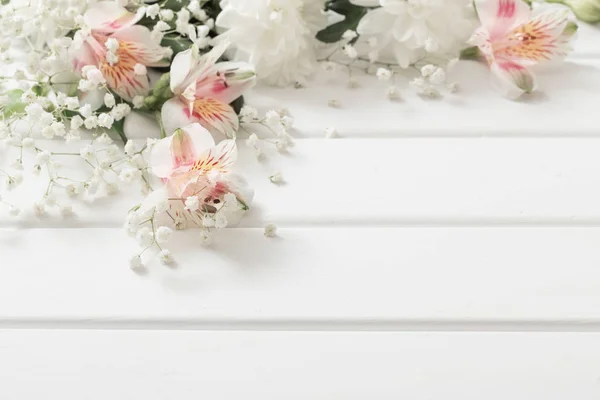 Chrysanthemum on white  wooden background — Stock Photo, Image