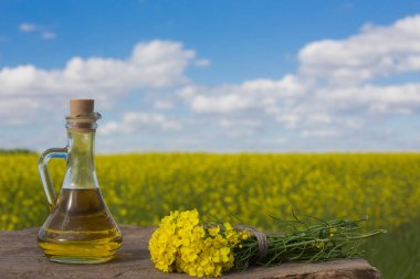 raprapeseed petrol (kanola) tecavüz fieldeseed yağ (kanola) tecavüz alan içinde