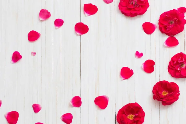 Rosa roja sobre fondo blanco de madera —  Fotos de Stock