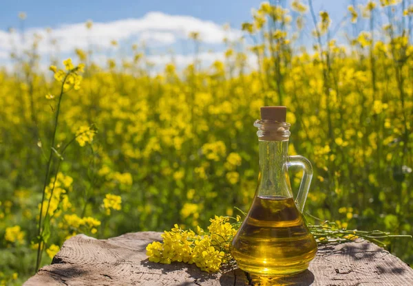 Raprapeseed olie (koolzaad) in verkrachting fieldeseed olie (koolzaad) in verkrachting veld — Stockfoto