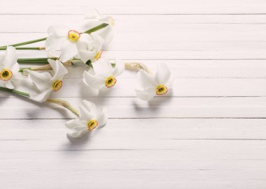 ahşap zemin üzerine nergis