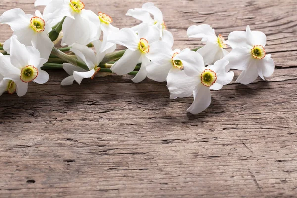 Narcissus on wooden background — Stock Photo, Image