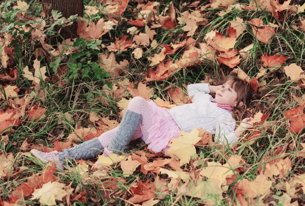 Retrato de niña hermosa con hojas de arce — Foto de Stock