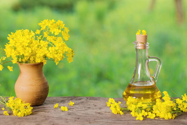 rapeseed oil (canola) and rape flowers on wooden table