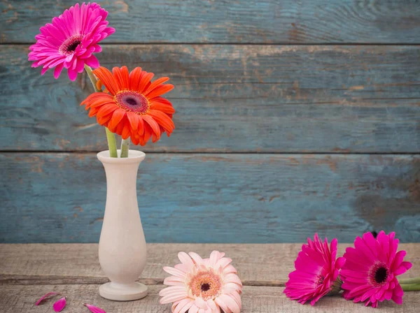 Gerbera in vase on old blue wooden background — Stock Photo, Image